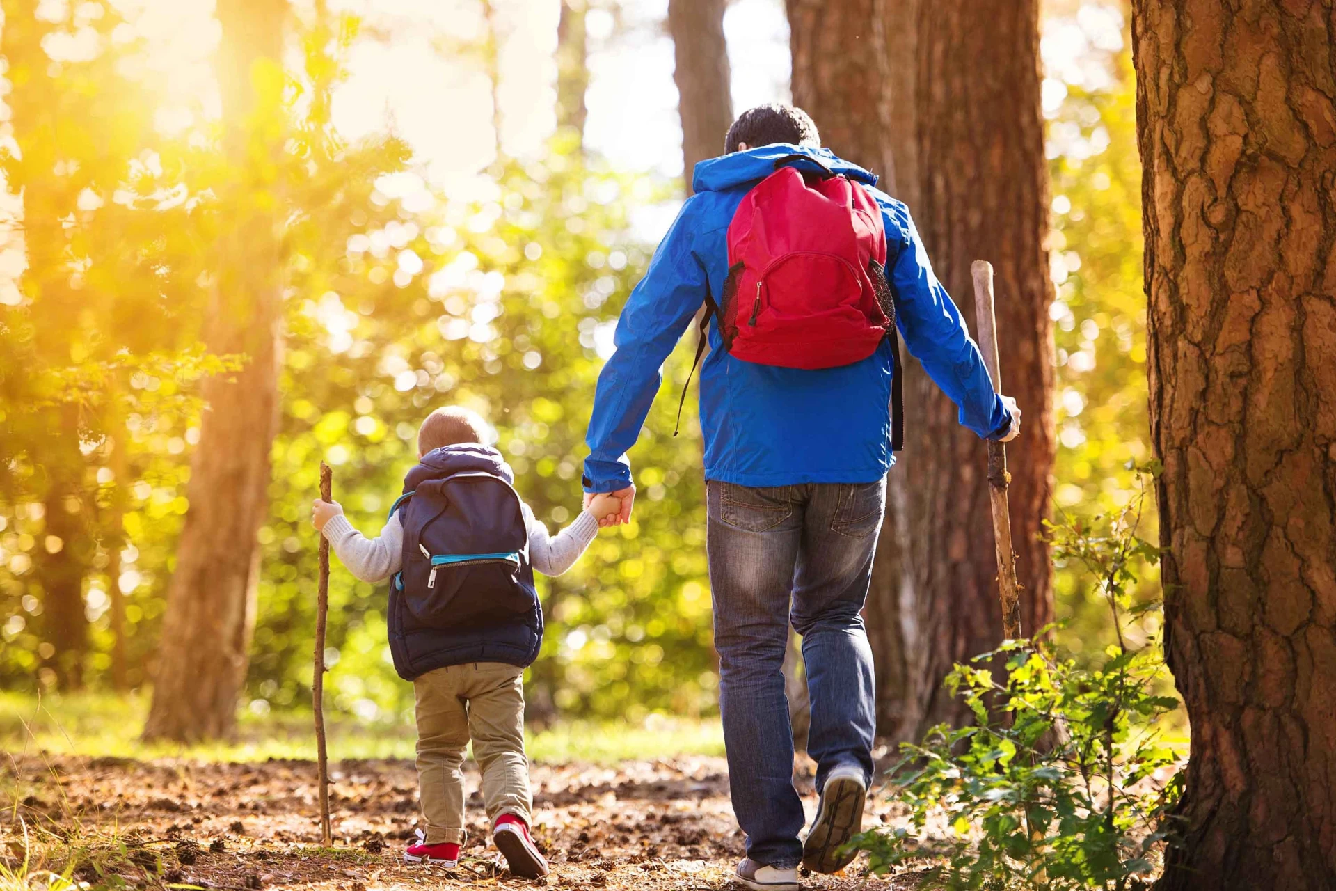 Family hike through sunlit forest